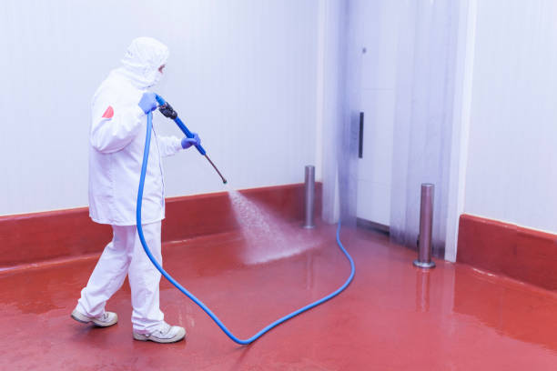  Smithfield, NC Pressure Washing Pros
