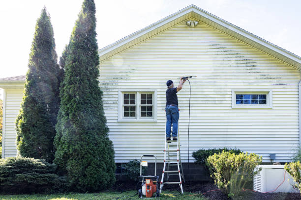 Best Gutter Cleaning  in Smithfield, NC
